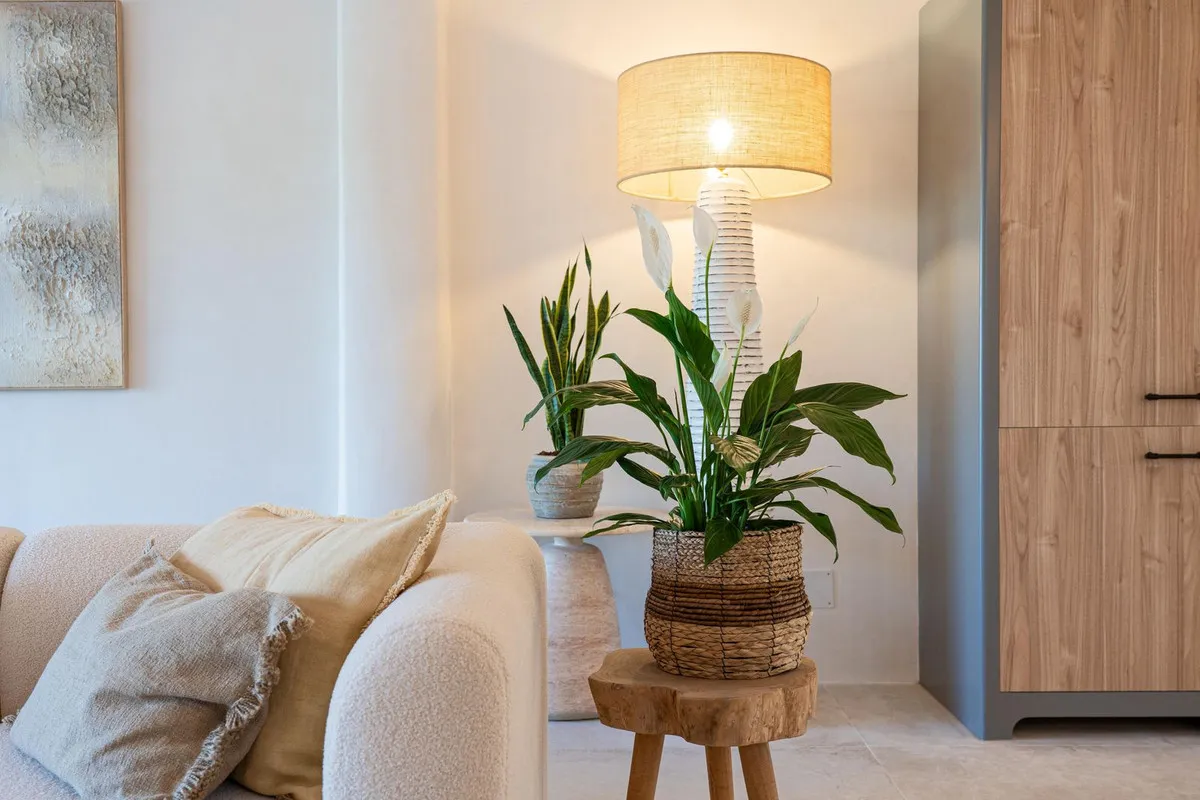 6110b6ff-db05-4abd-8ff4-b921f522fbd2