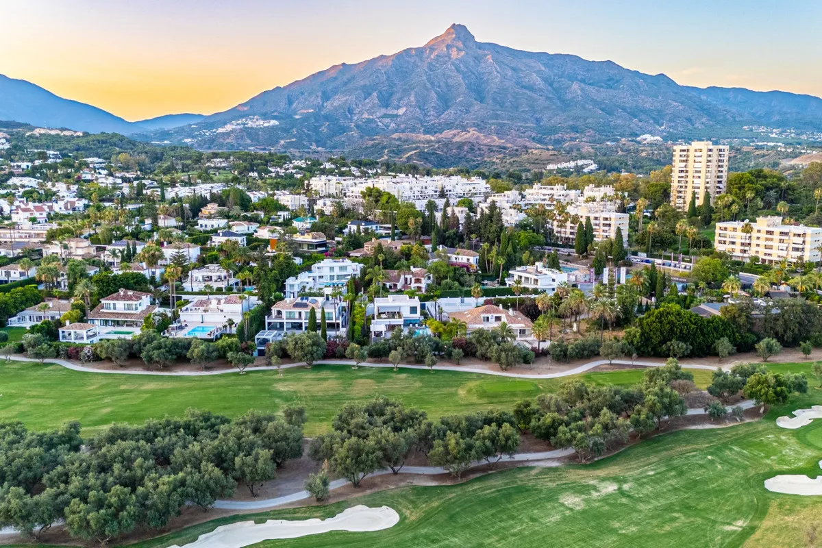 29912069-f782-4314-9025-341e299d0088