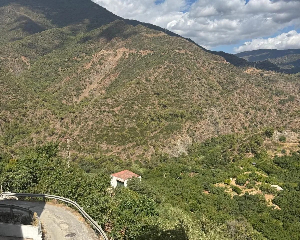 99612a1f-21d0-4c28-ba5a-2cd3592a0a4e