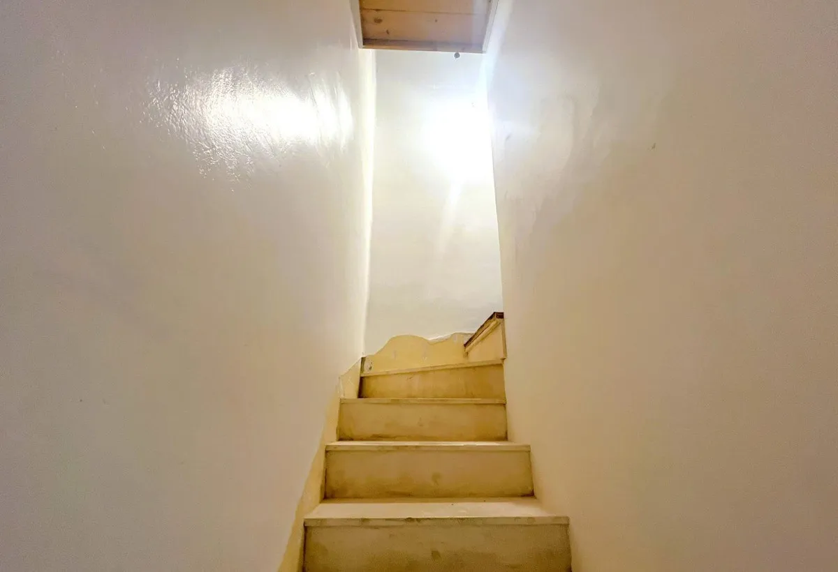 1419edf4-51fc-4c9b-8e02-cea255f81764