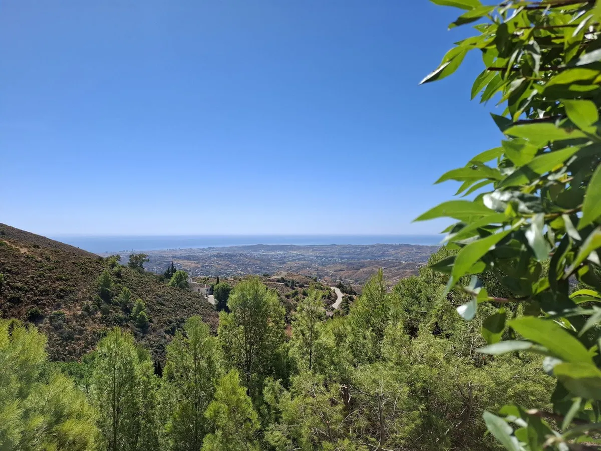 8f8d9e02-7124-4bcd-a627-5cacc4f24490