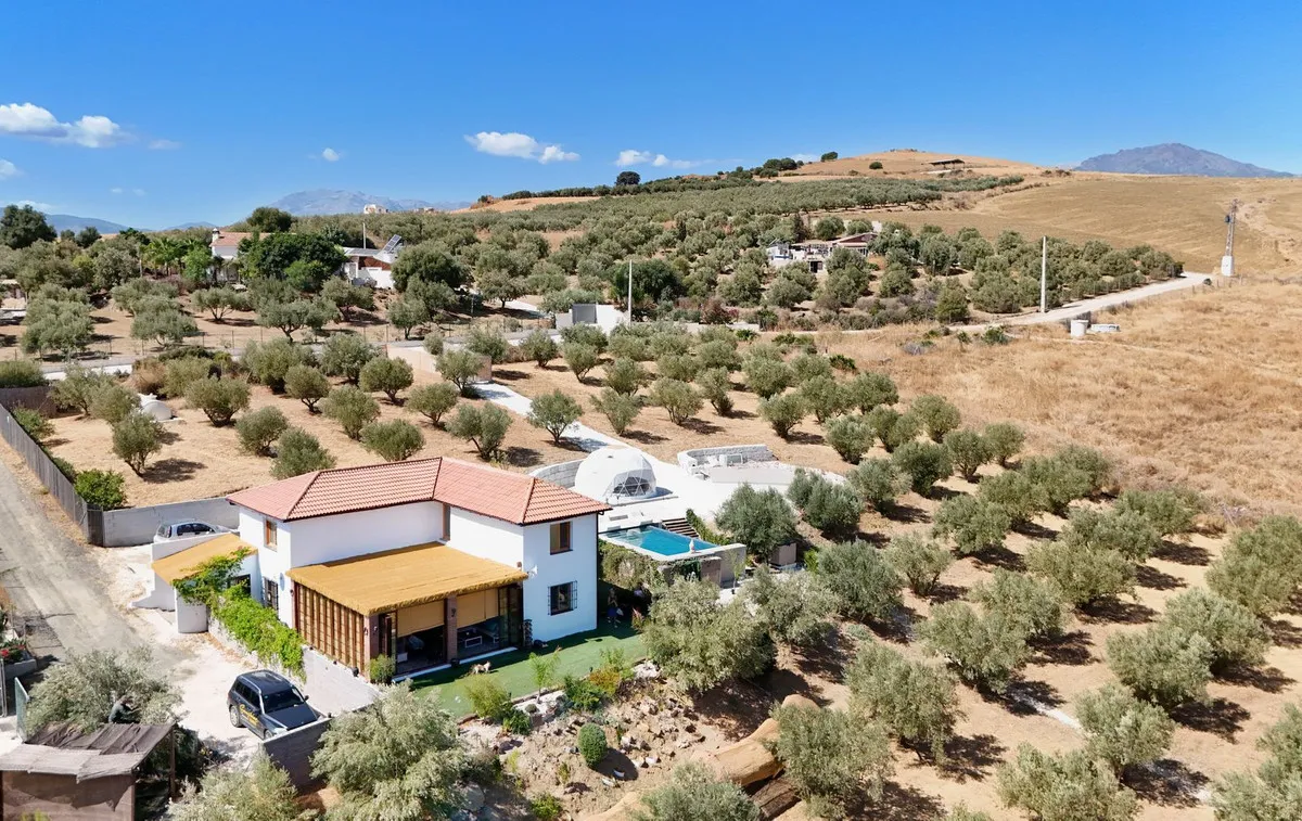 2462f438-dc00-4760-87da-00418ef5729b