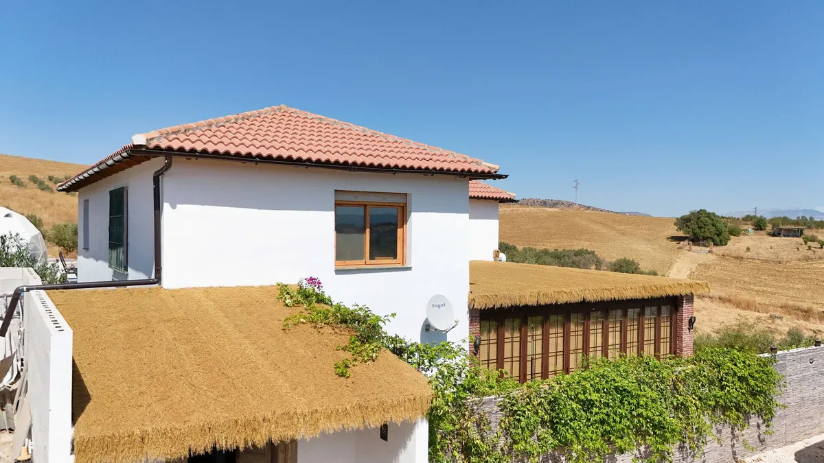 493e766e-c226-4645-aa04-faa3850a34ef