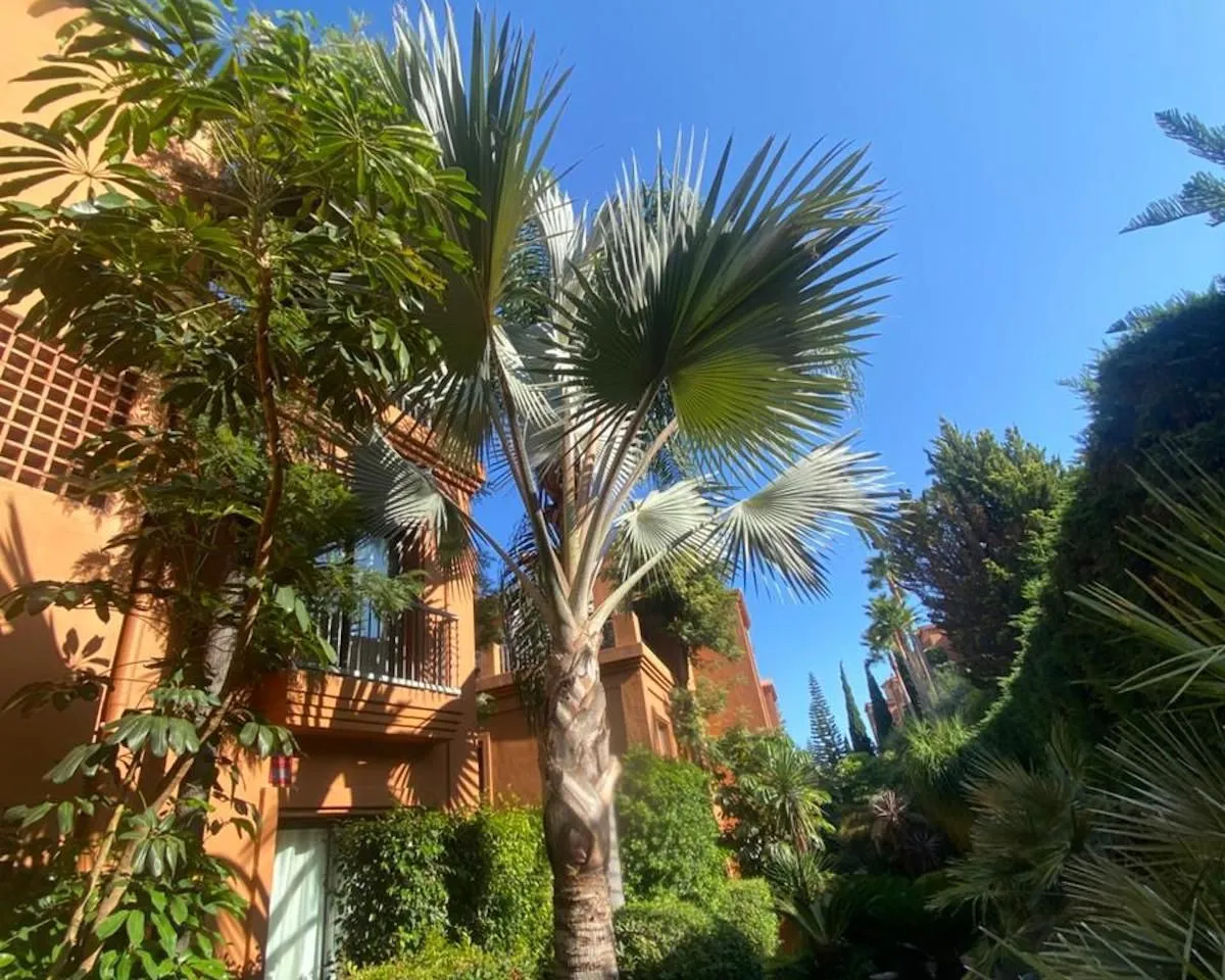 41c4fe5c-c231-4a57-9737-37b1ff200c06