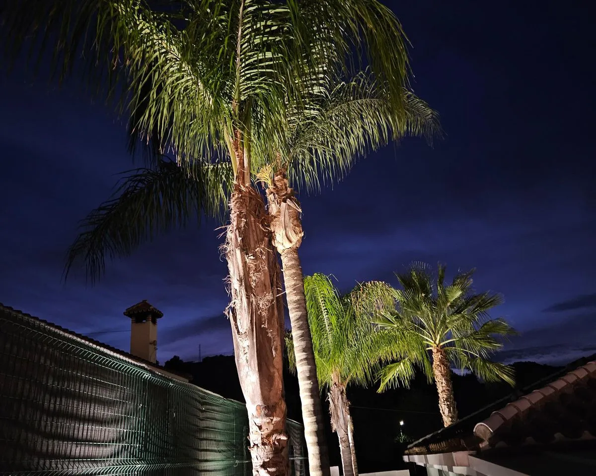 bb151205-ea5c-45c8-bf10-d55699b94443