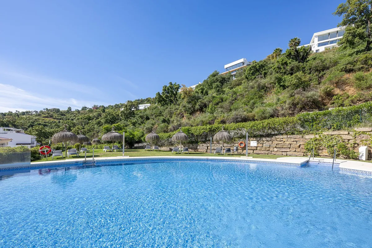 bc95b279-53ef-4a42-9084-5bd1c8cc0fe7