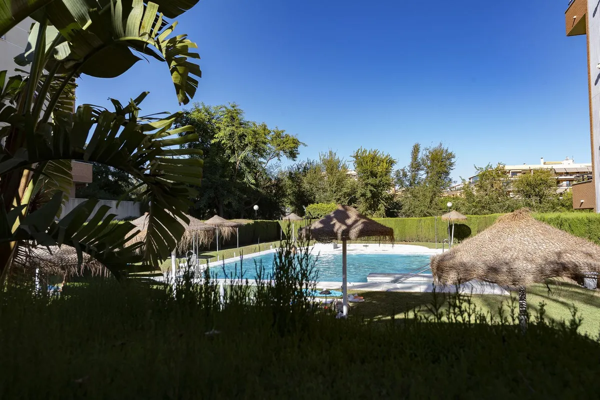 c0579a7c-89a3-480d-a1e1-8cd6007ab4f1