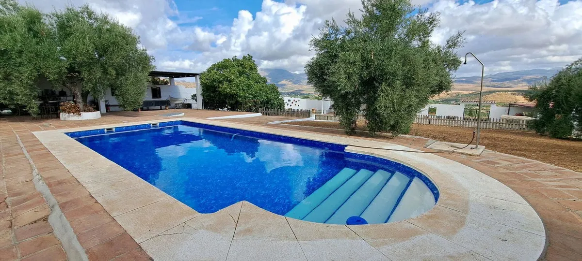 5c530862-10a1-4276-87d9-cfac972ce7c6