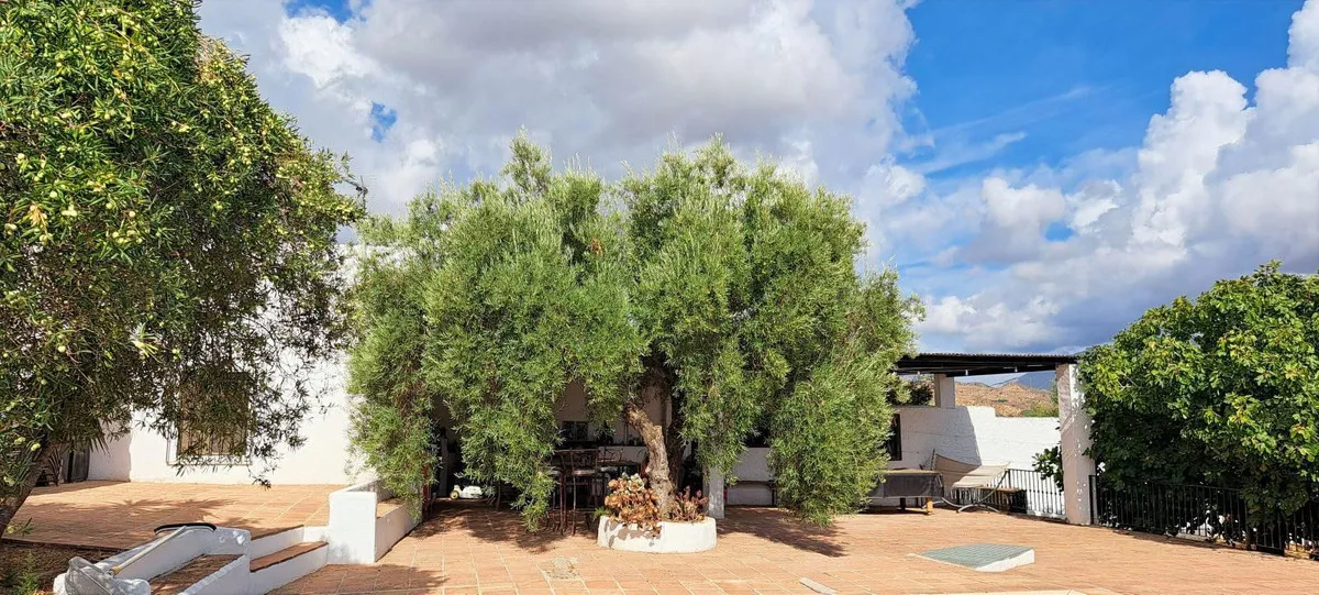 6537e551-157a-4136-8952-d2c79faef6ad