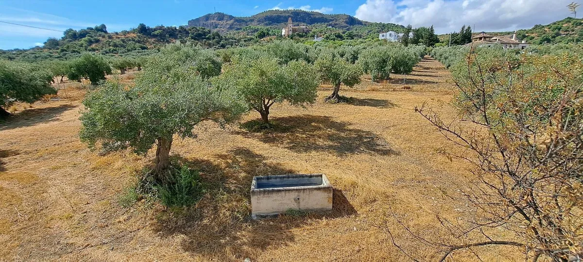 7cba9688-9047-469c-abff-a020135c13a2