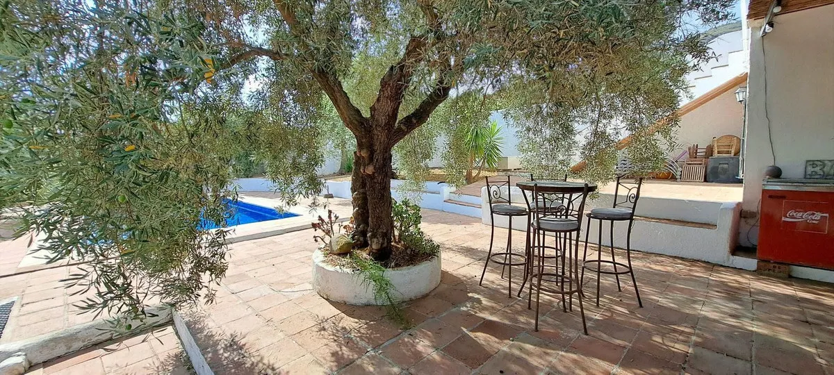 d174bfe0-49de-479a-88e7-60148fed6396