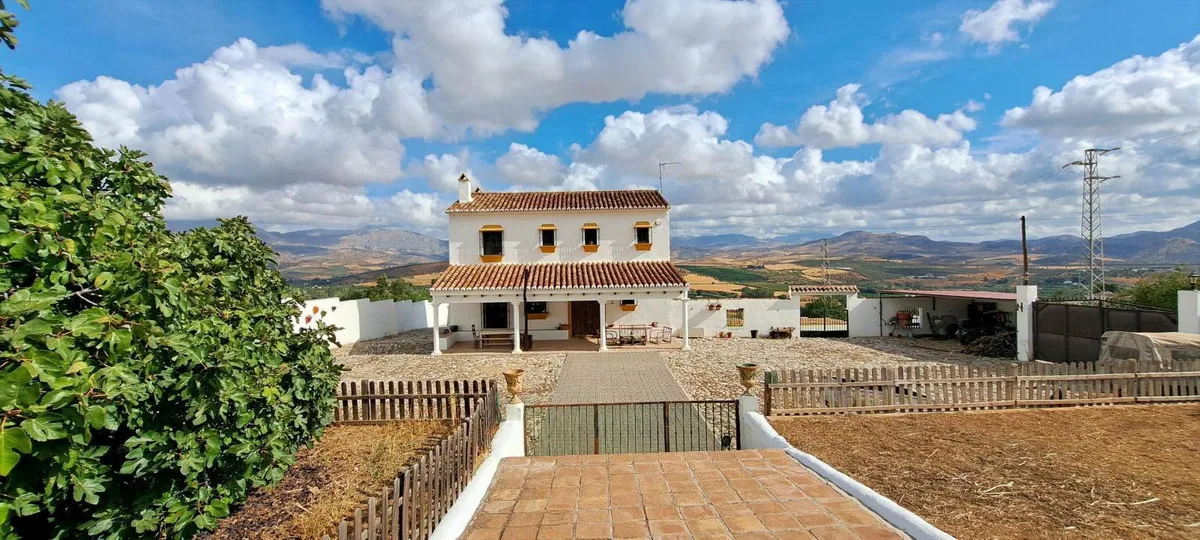 e74ffd78-102d-4af3-b8c6-a39ed1c08722