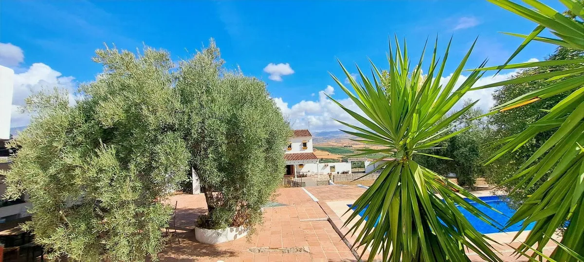 ee9487ca-4e2a-49f0-8725-22d1eea83b92