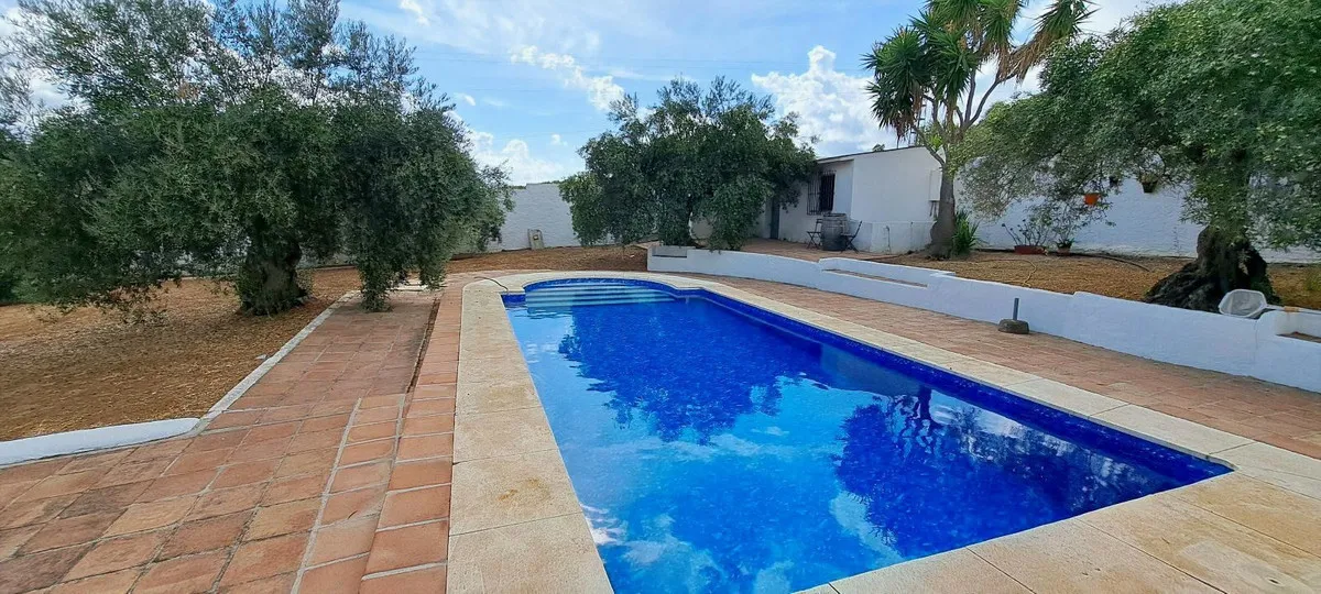 f4236e0a-1619-46ba-ab1d-c991b34587d6