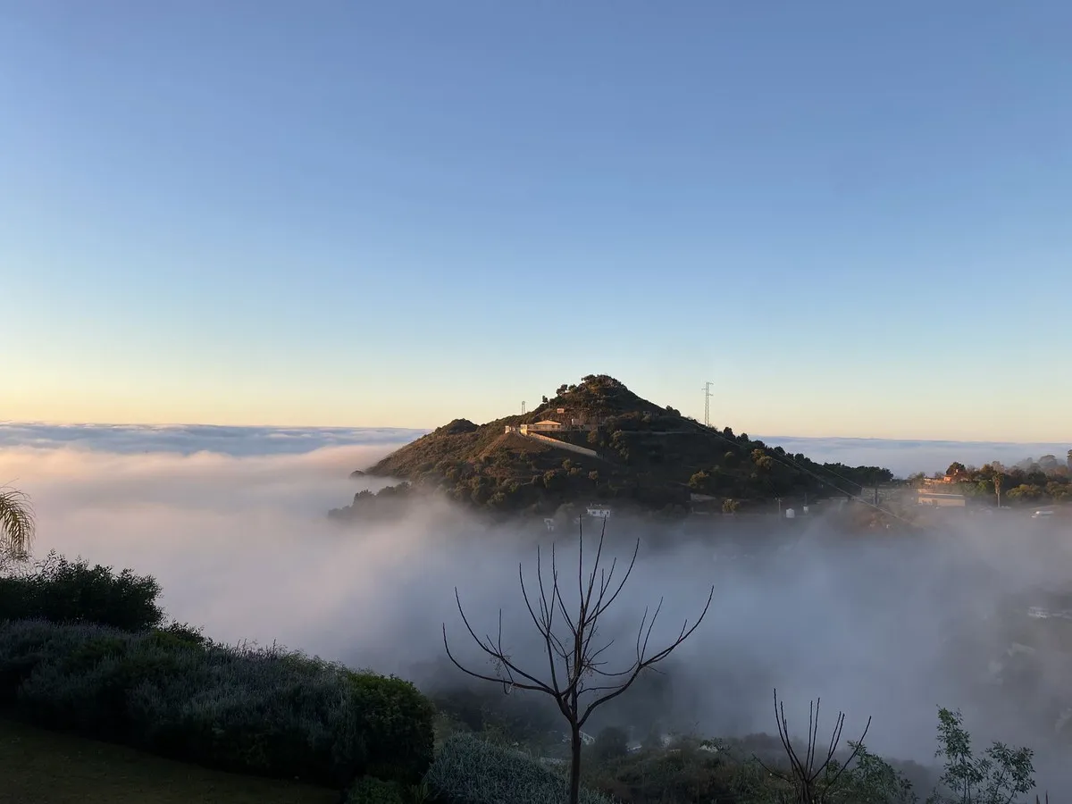 44df5579-ca66-4fd4-911f-ffa73f95af24