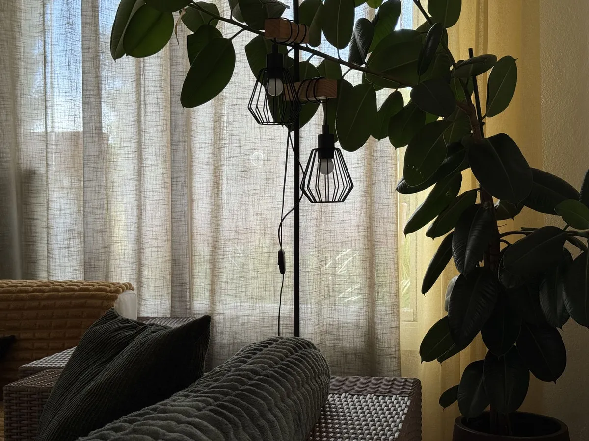 48f85ef9-4d87-4977-b6f0-a388d4411fe6