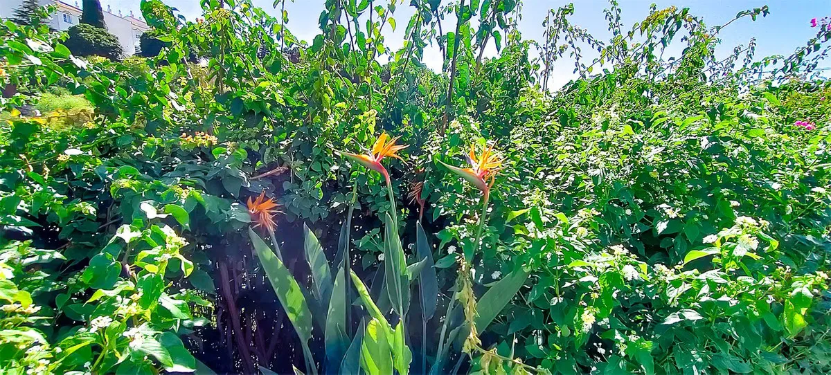 3f3eb66e-92e9-4285-a67f-82bf62ba72f2