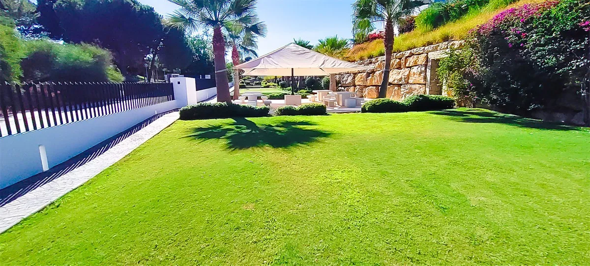 ce4f1e8e-680b-43a3-8fed-a38f16402765