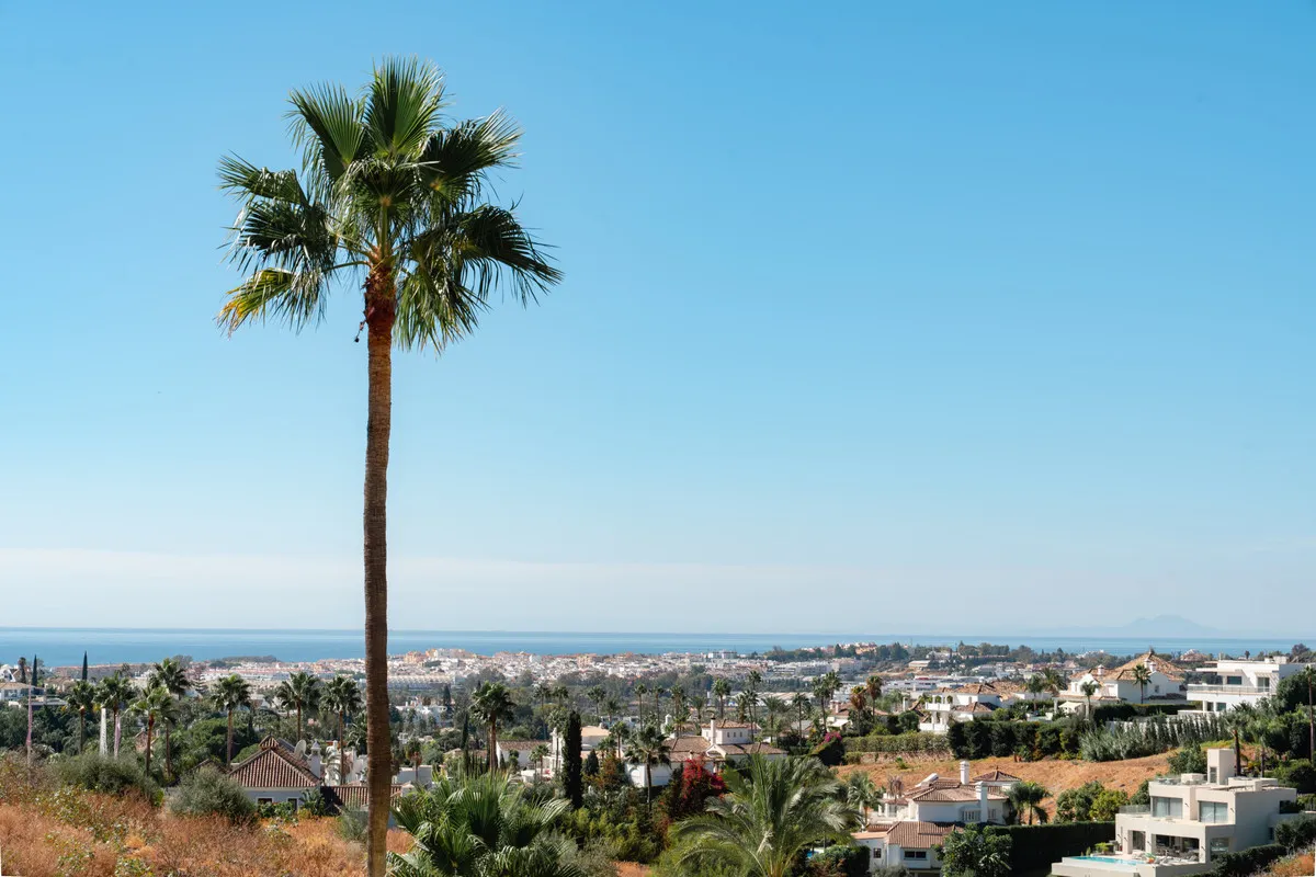 18055172-d67b-417f-a400-22844934ac04