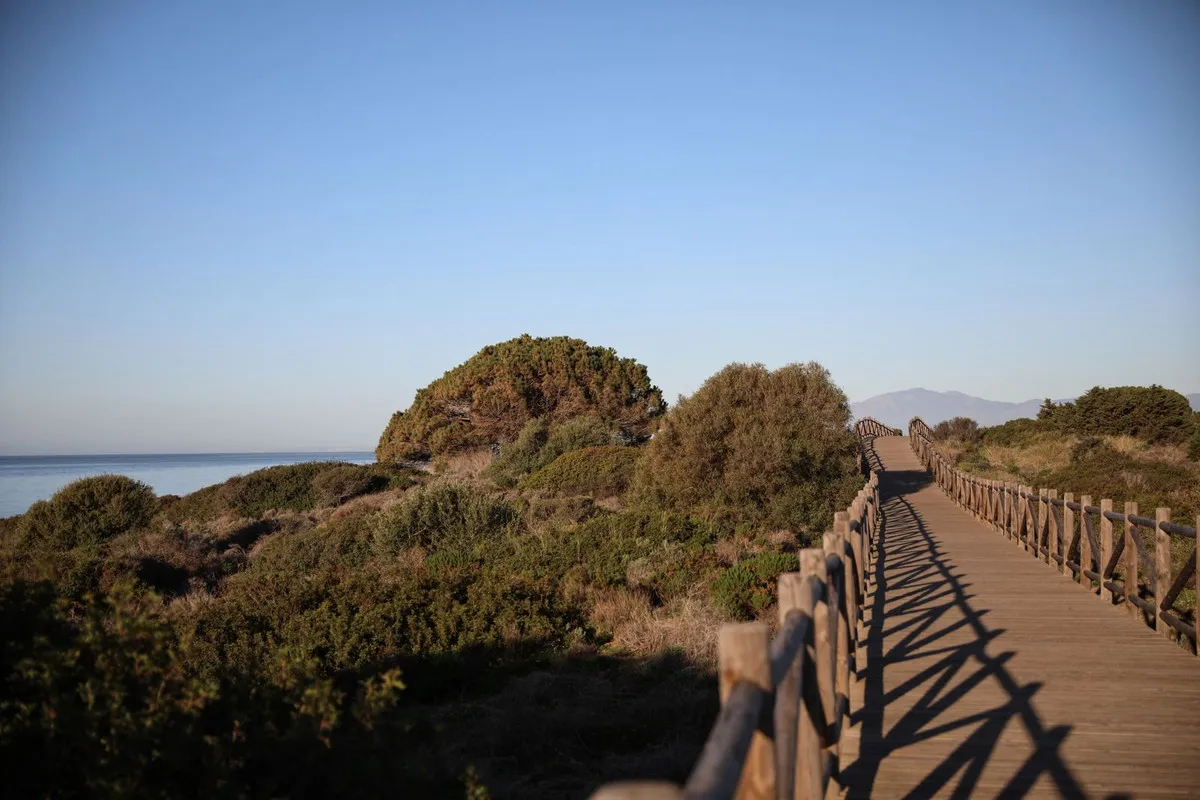 8b2aea3b-60ea-42a4-9d28-0630210bbd1e