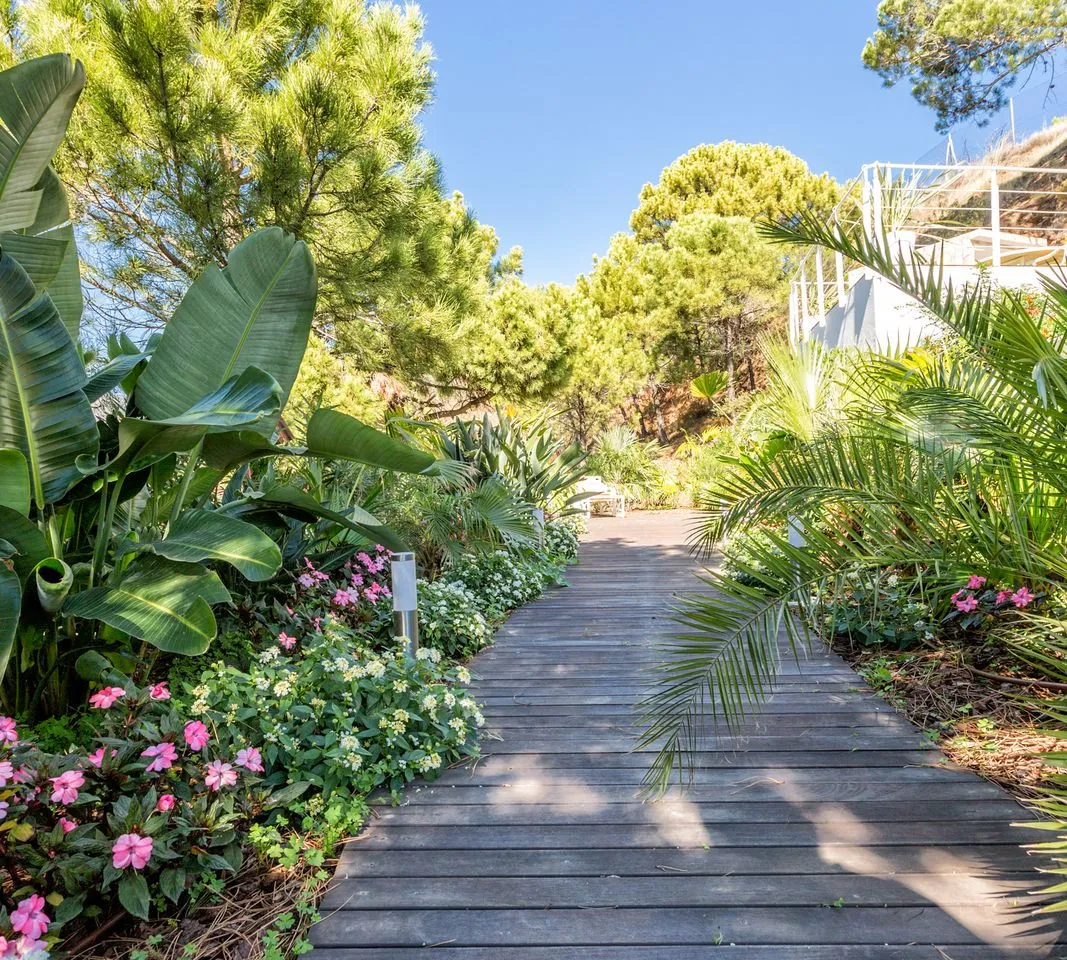 4c15cf08-5ae9-4915-83e0-1e5ed9104c05