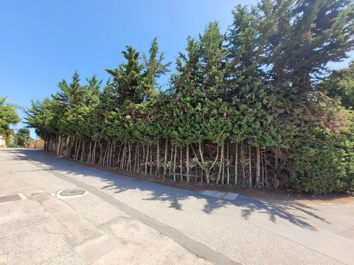 a8859b17-3802-4646-ad94-c110df46cd1b