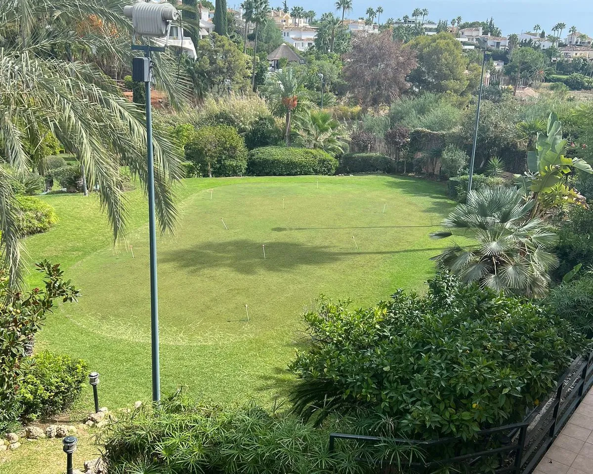 e8a14398-7e16-4805-b9b6-21a14a7cbd81