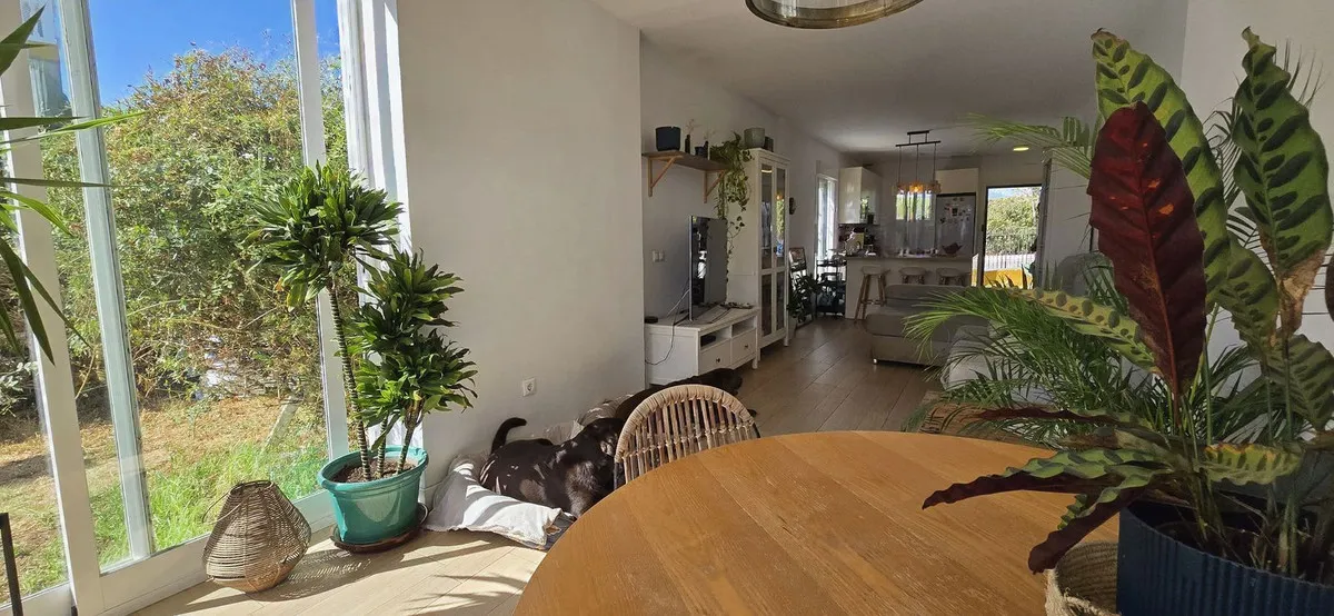 82e3e0cf-9a1a-41ae-b458-b73d6d4b5f74