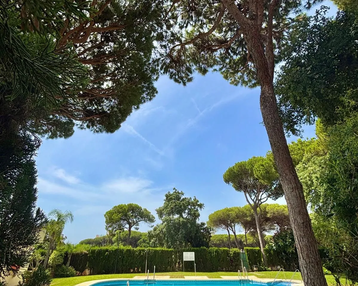 d18c1825-c863-4857-aecb-0033bb36b7ce