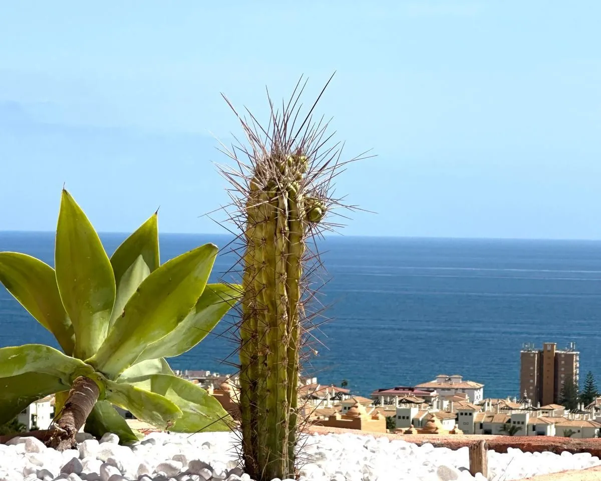 2364fcfe-05e6-486b-81cb-ee620c1effc7