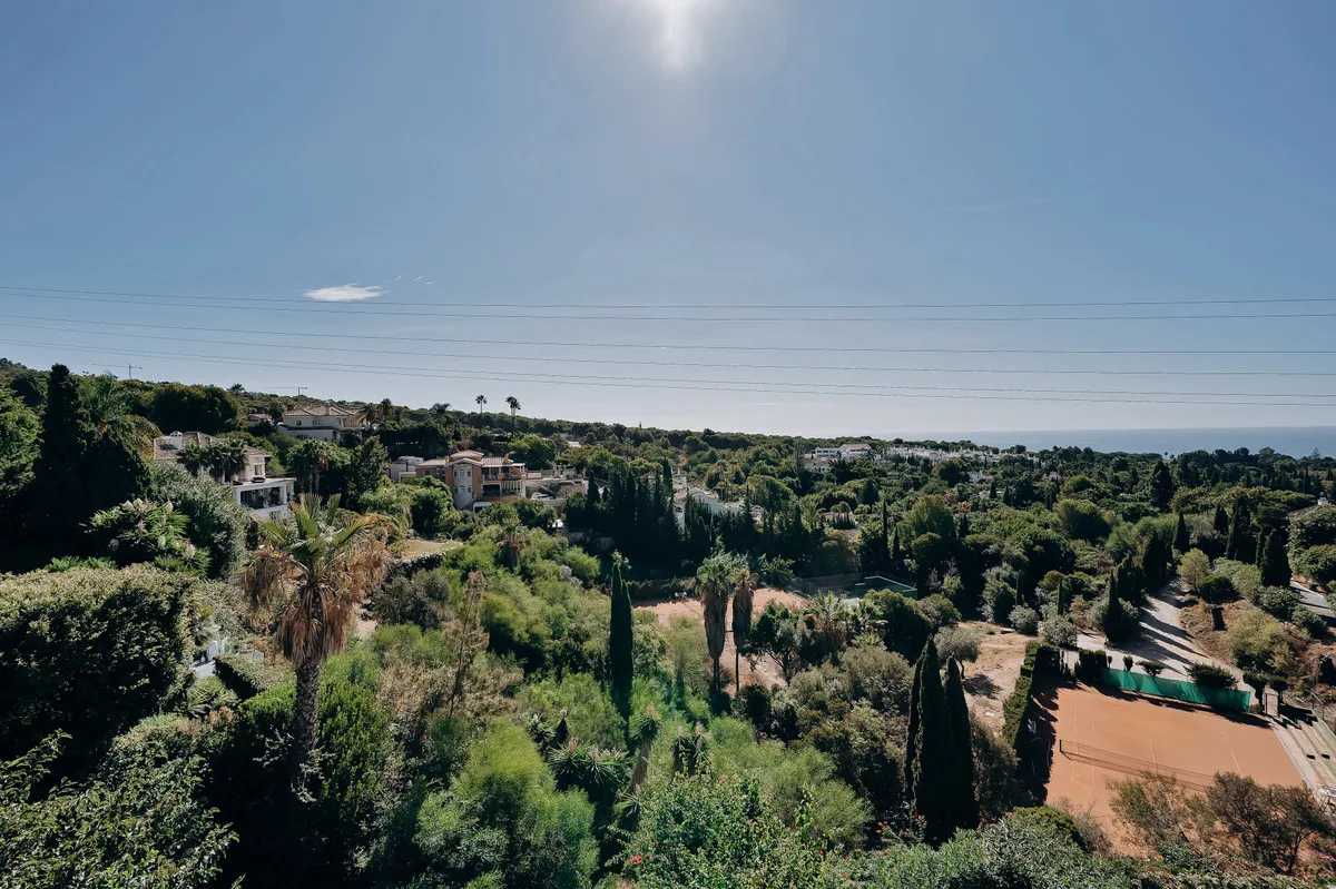 29534969-3d9b-4d5c-a06e-9a87e0edaf8c