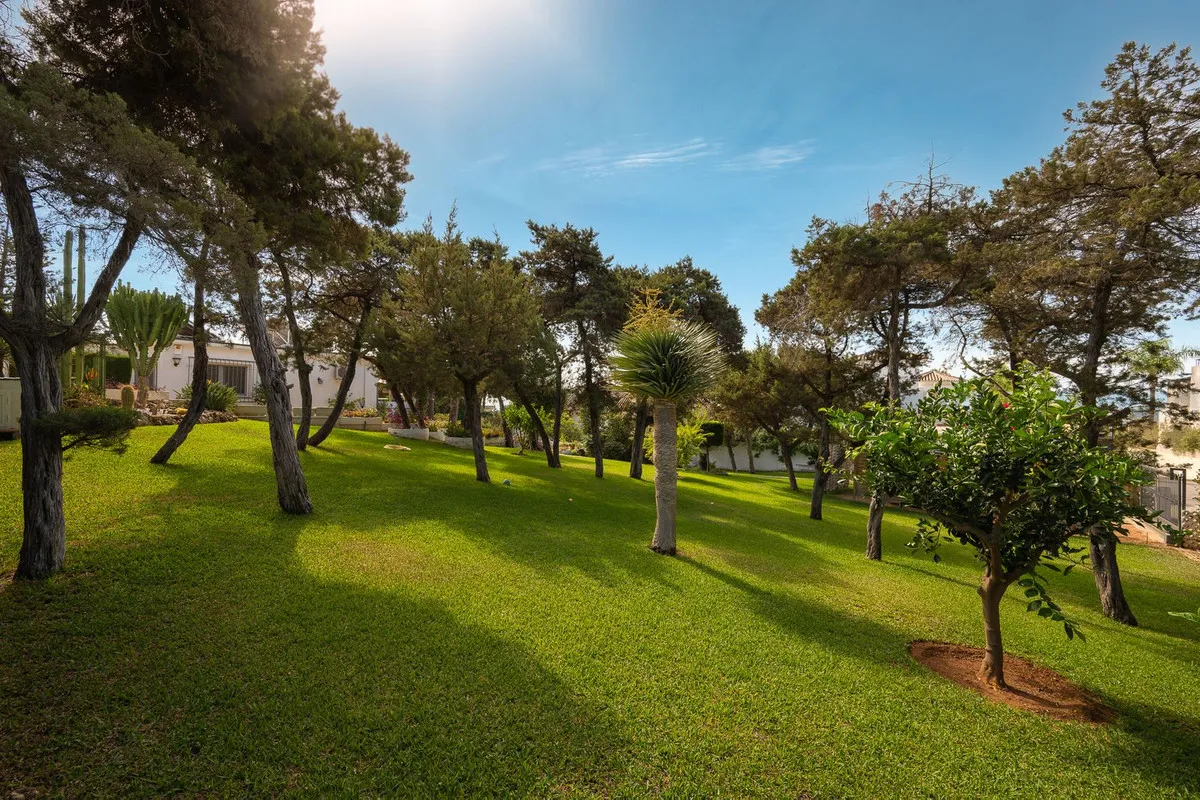 22269382-92b7-44fa-9c40-cdf6e55dfcfd