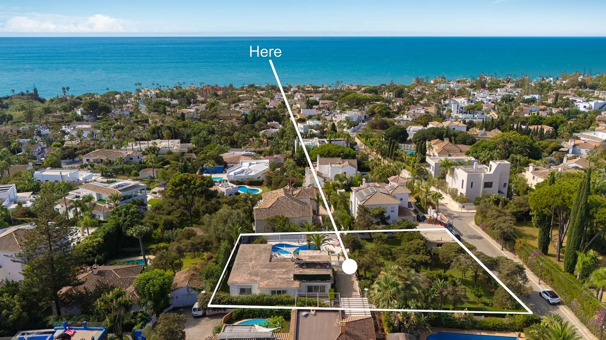 6136d2d1-77ab-4494-850e-c5a2daa3b593