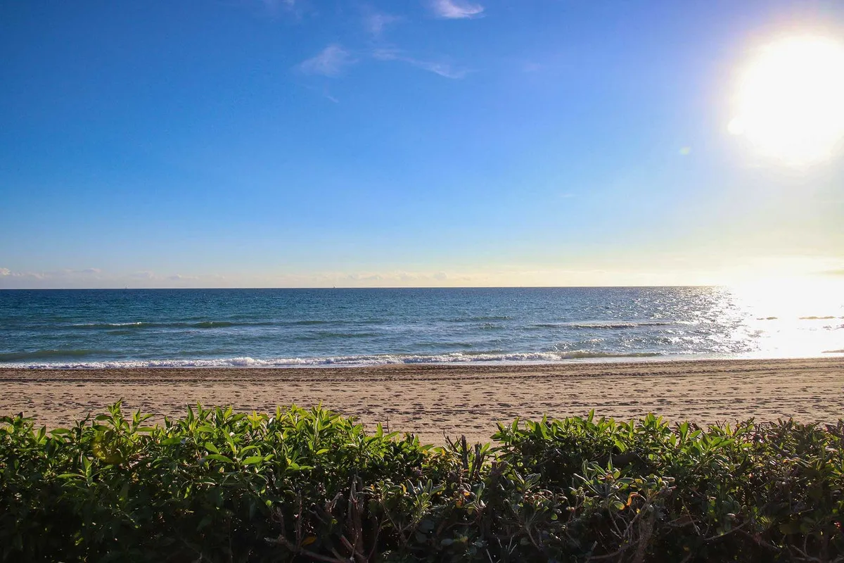 4917f367-573d-4ee6-99ae-9ceec289f658